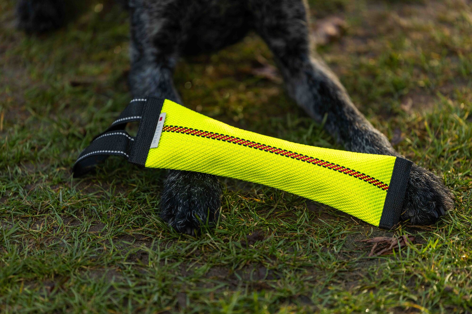 Clever Dogz Dummy – a loop