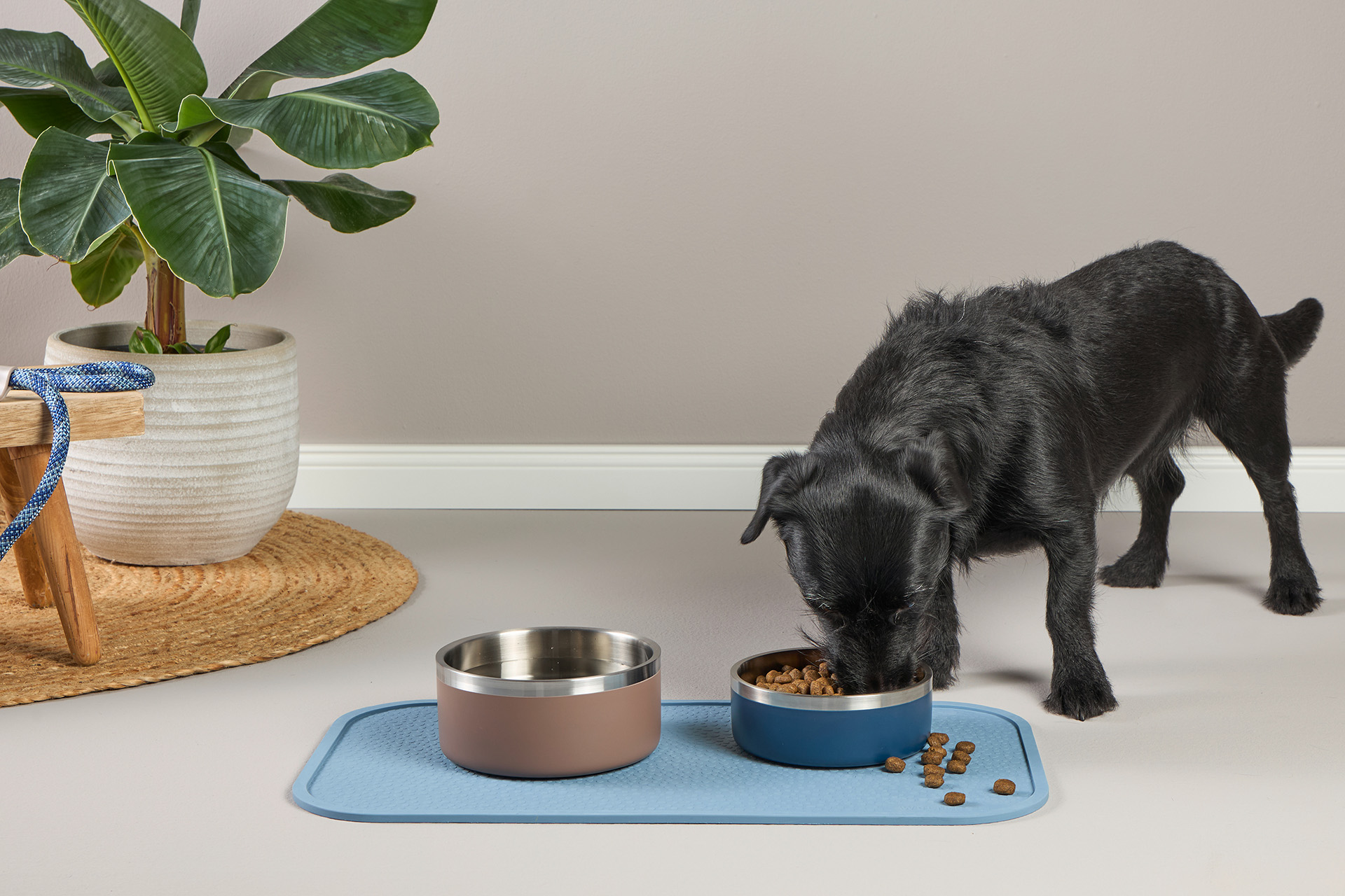 Linea Single Bowl