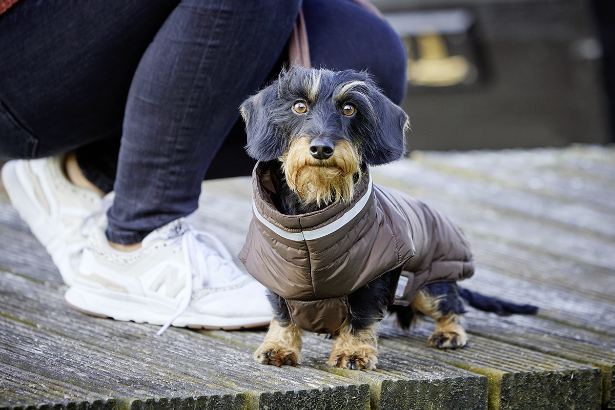 Steppjacke Cosy – langer Rücken