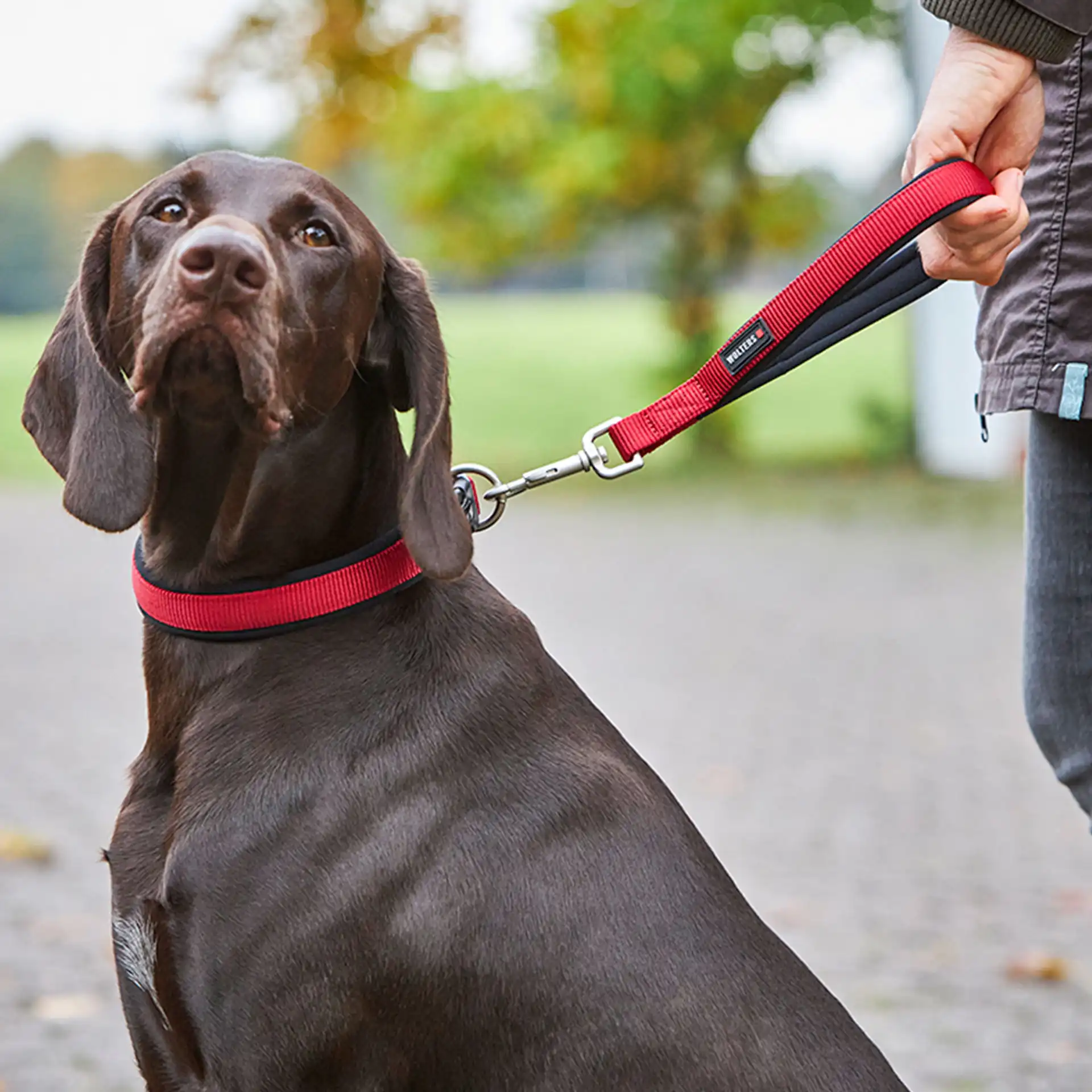 Professional Comfort Short Leash