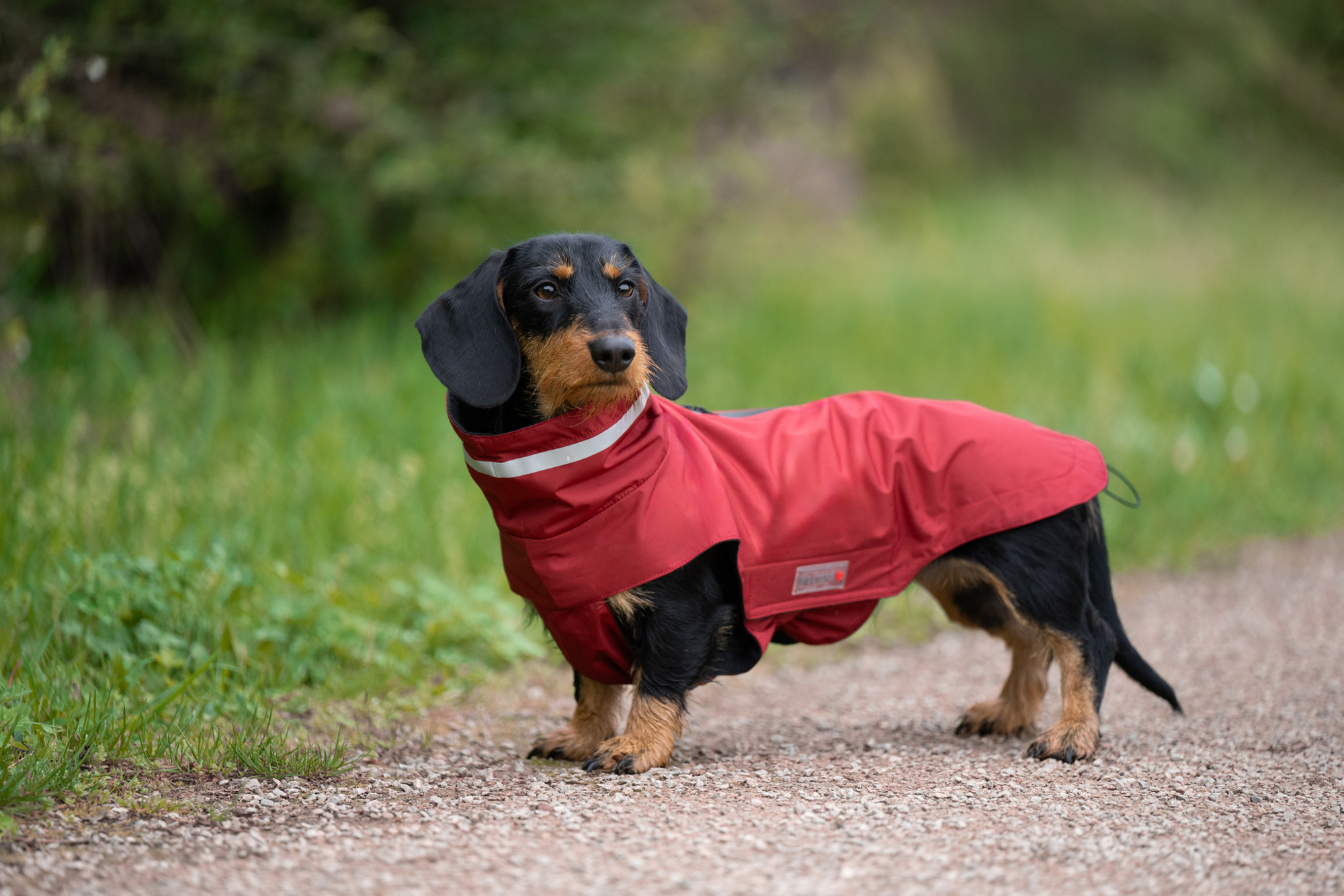 Outdoor Jacket Modern Classic – long back