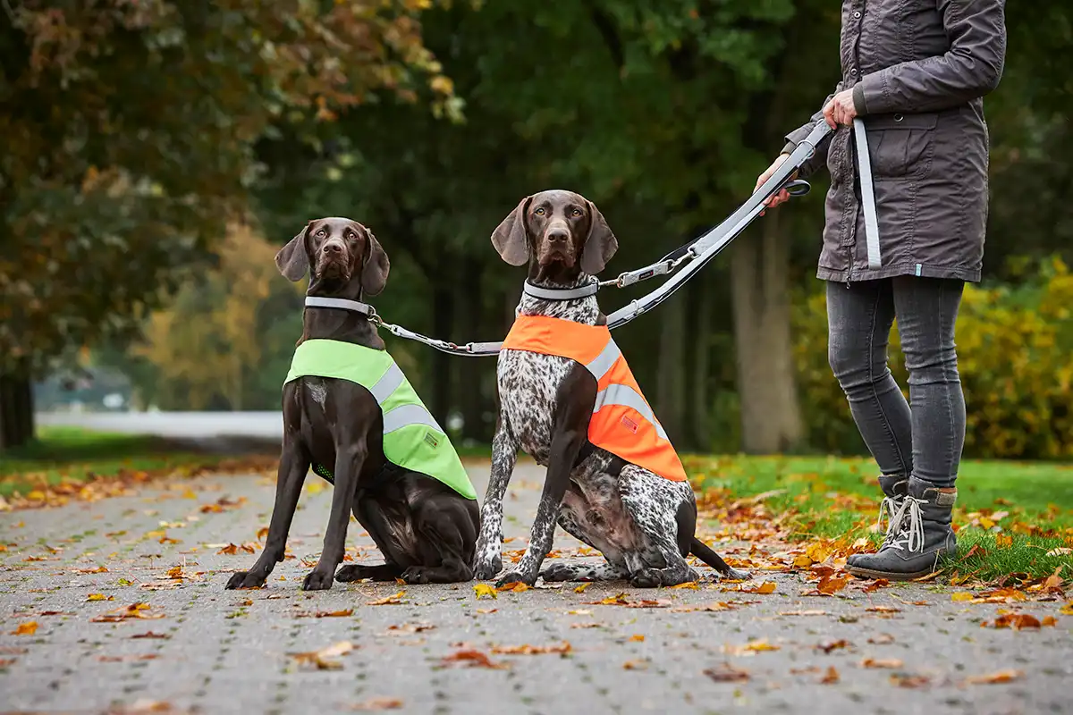 Safety Vest Security