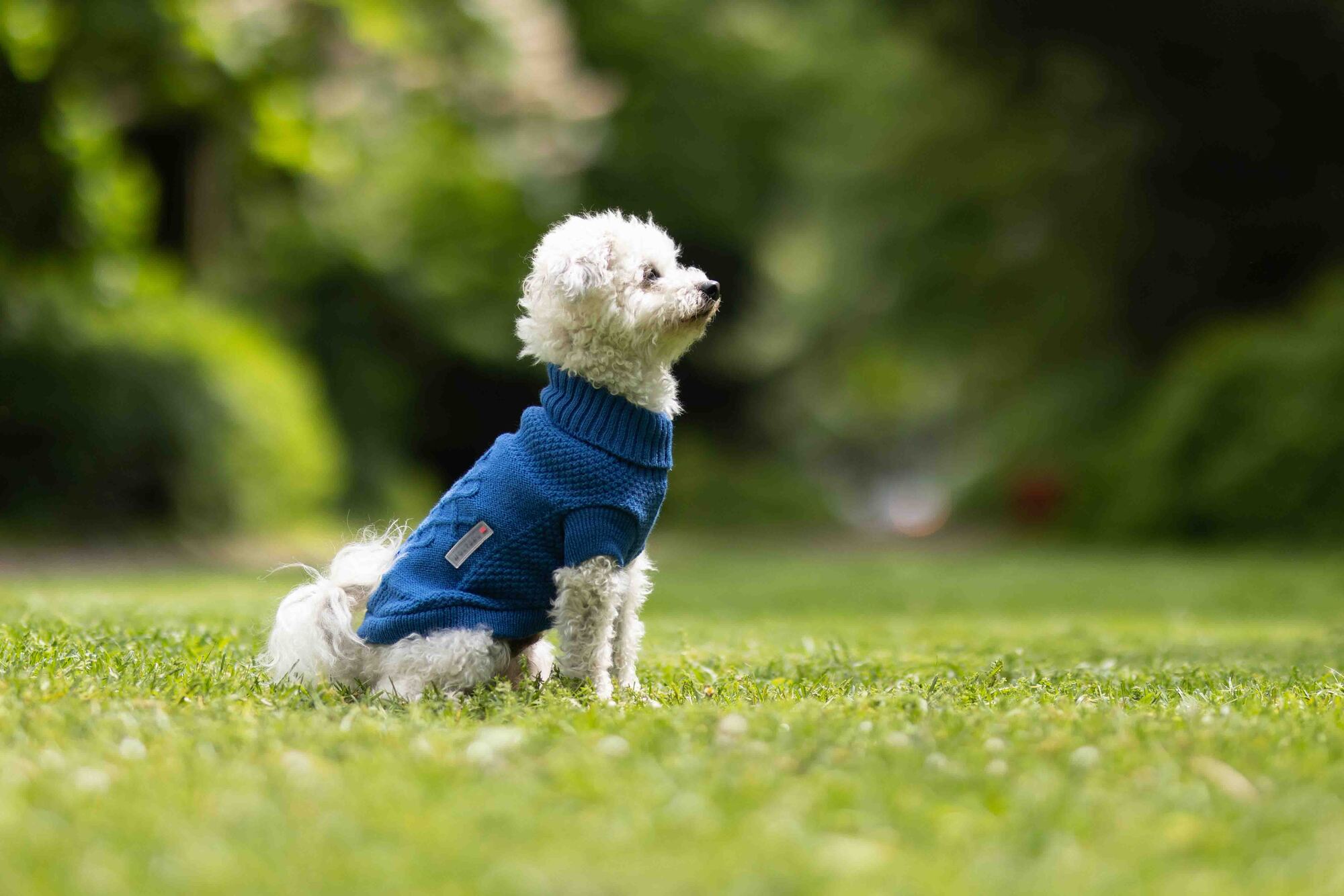 Knitted Jumper Tristan