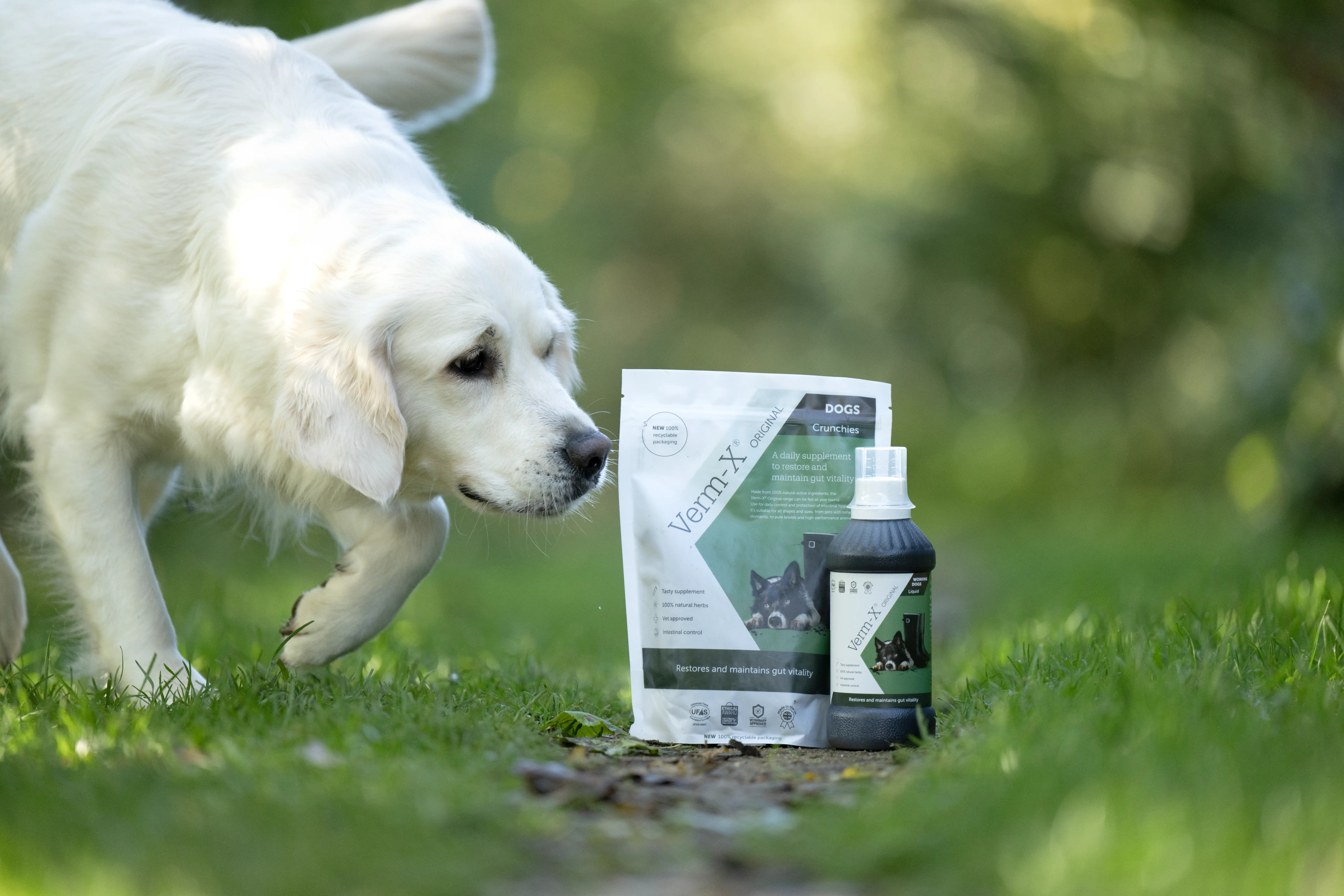 Tierbedarf WOLTERS cat & dog GmbH