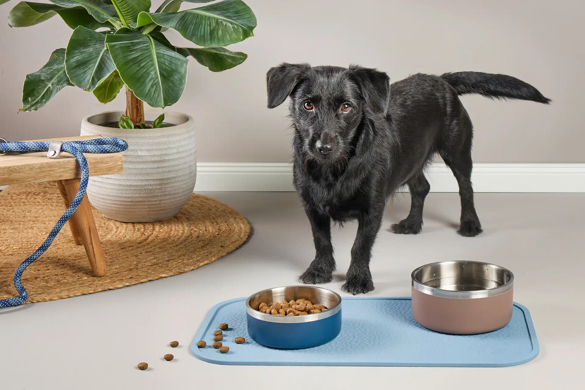 Wolters Linea Hundenapf