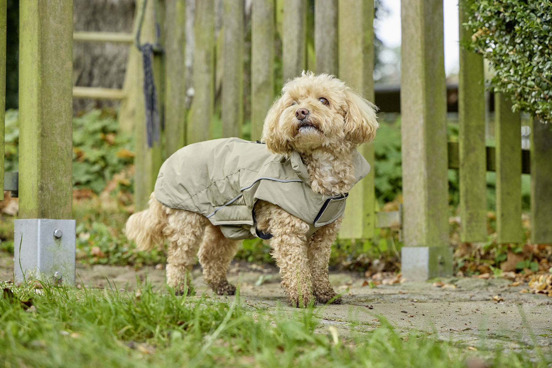 Dogz-Wear Ski Jacket