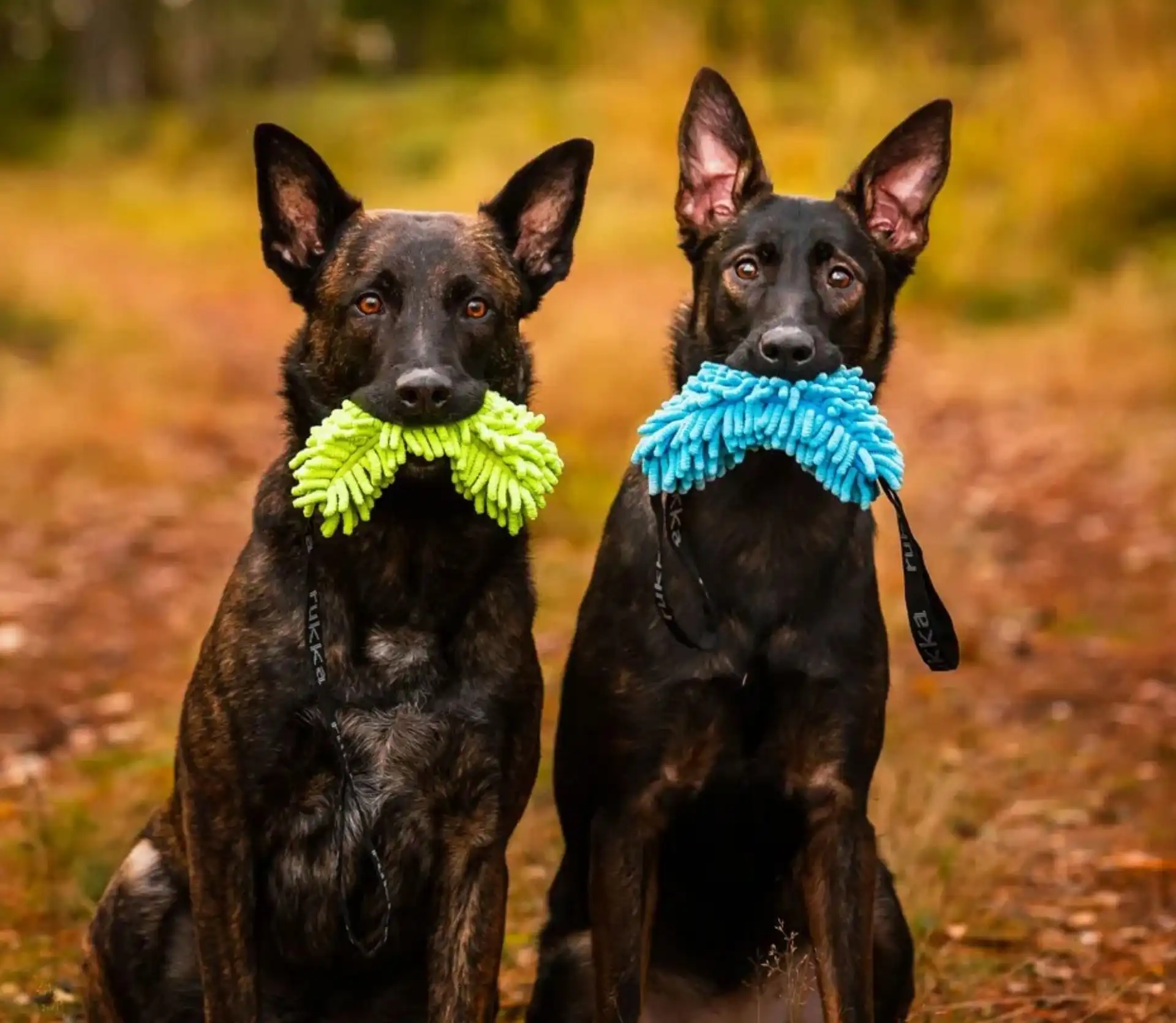 Rukka Pets Hundespielzeug mit 2 Handschlaufen