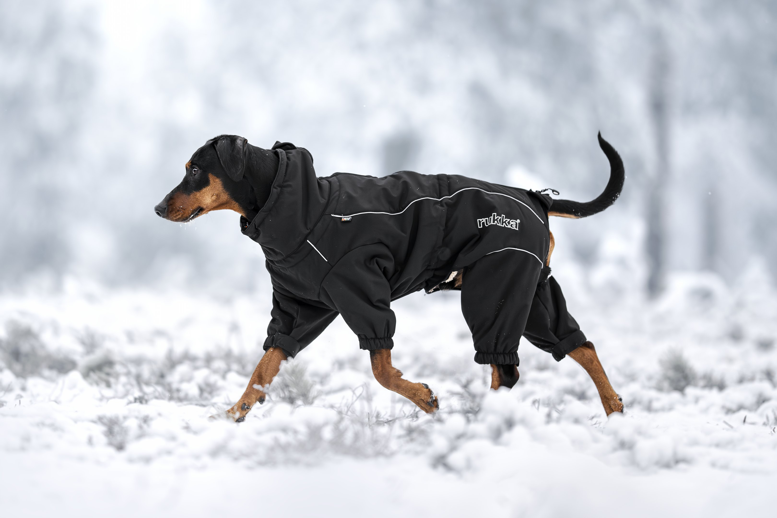 Rukka Pets Thermo-Overall 2.0