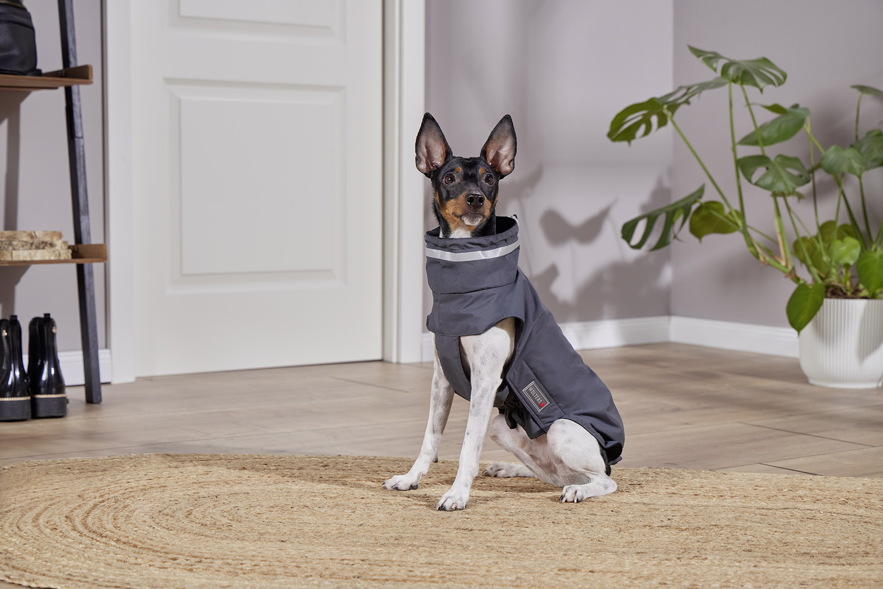 Outdoorjacke Modern Classic