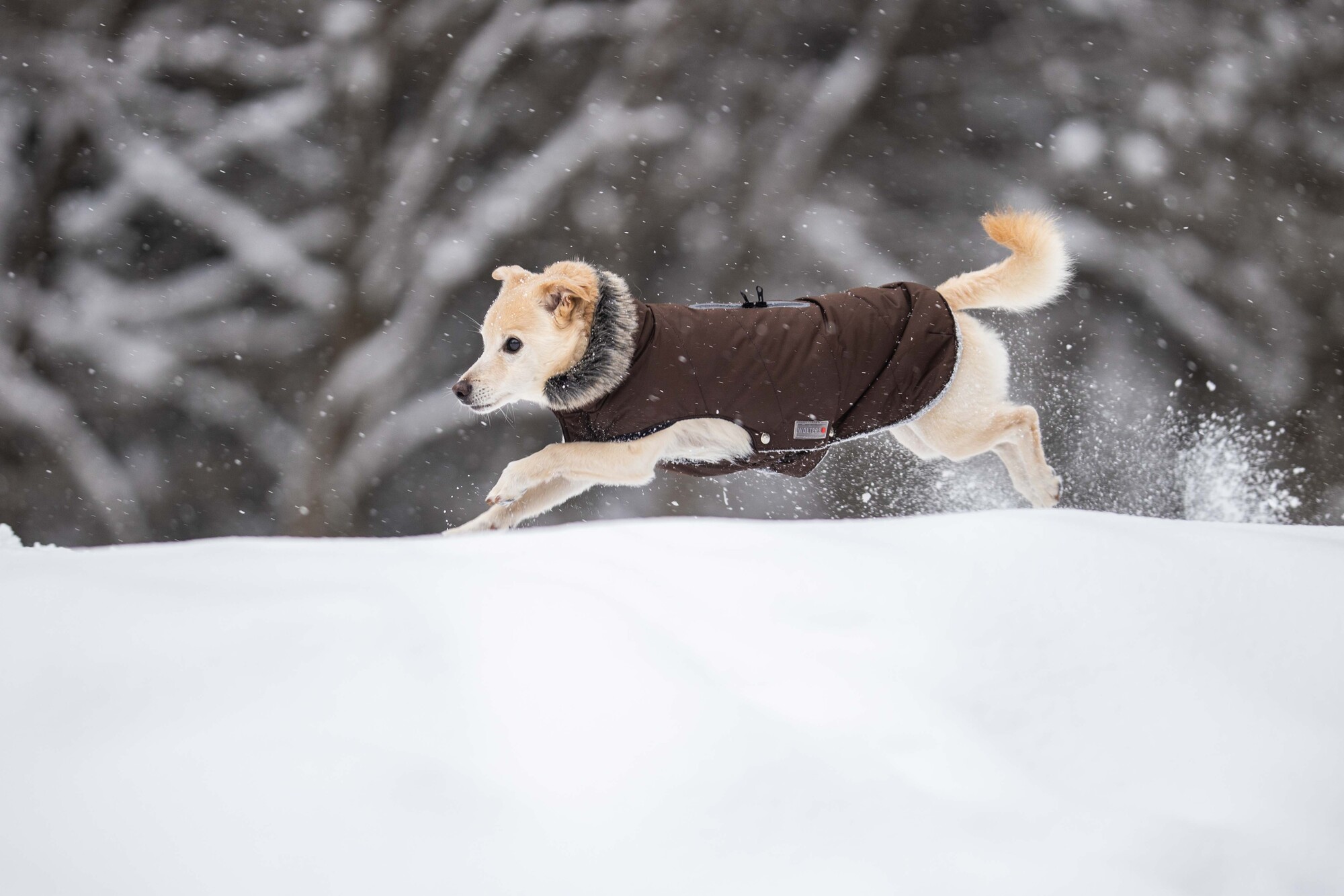 Winterjacke Parka