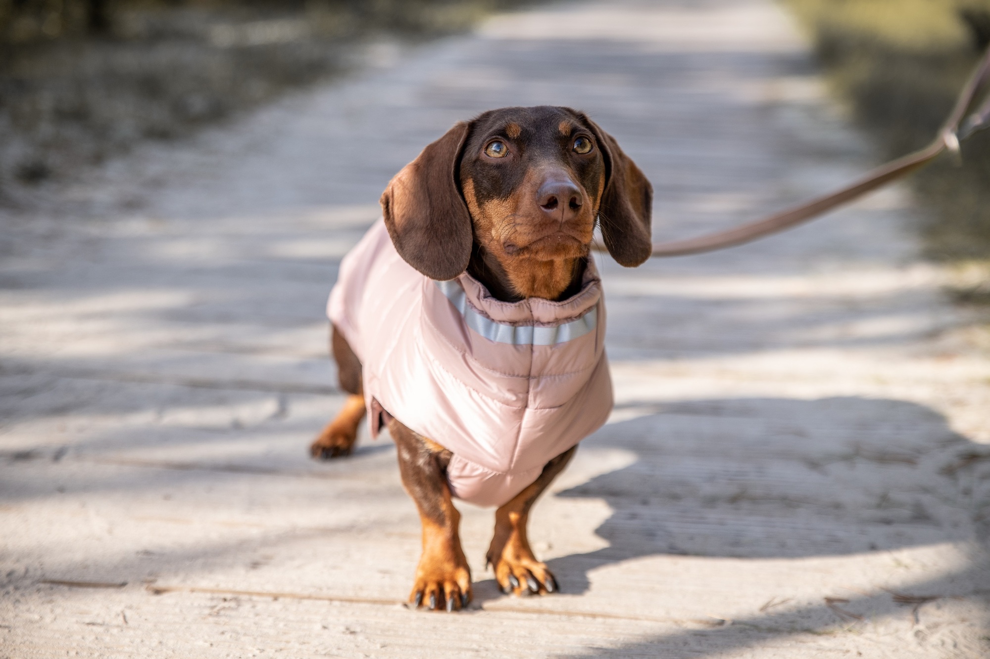 Steppjacke Cosy – langer Rücken