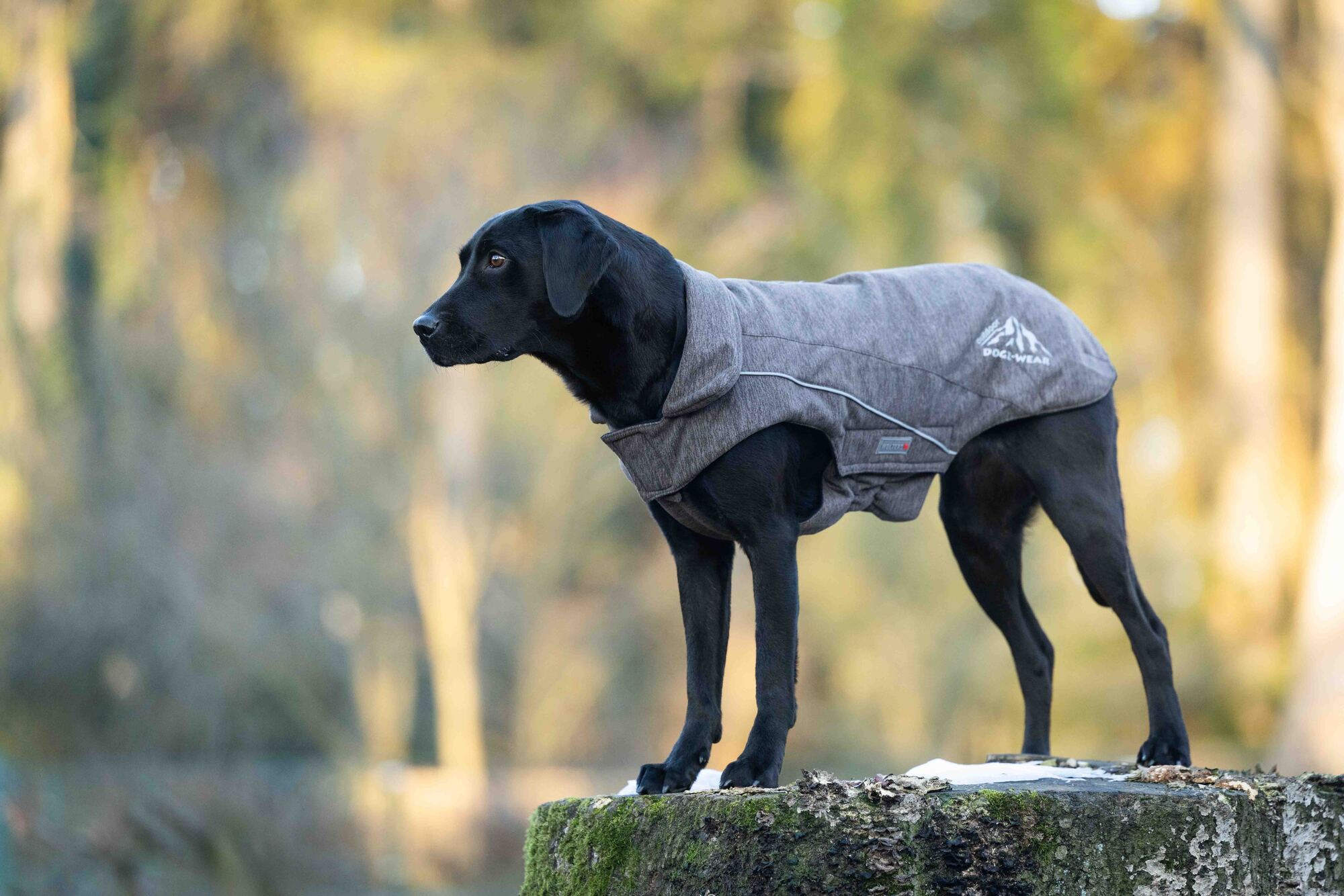 Fleece Jacket Dogz-Wear