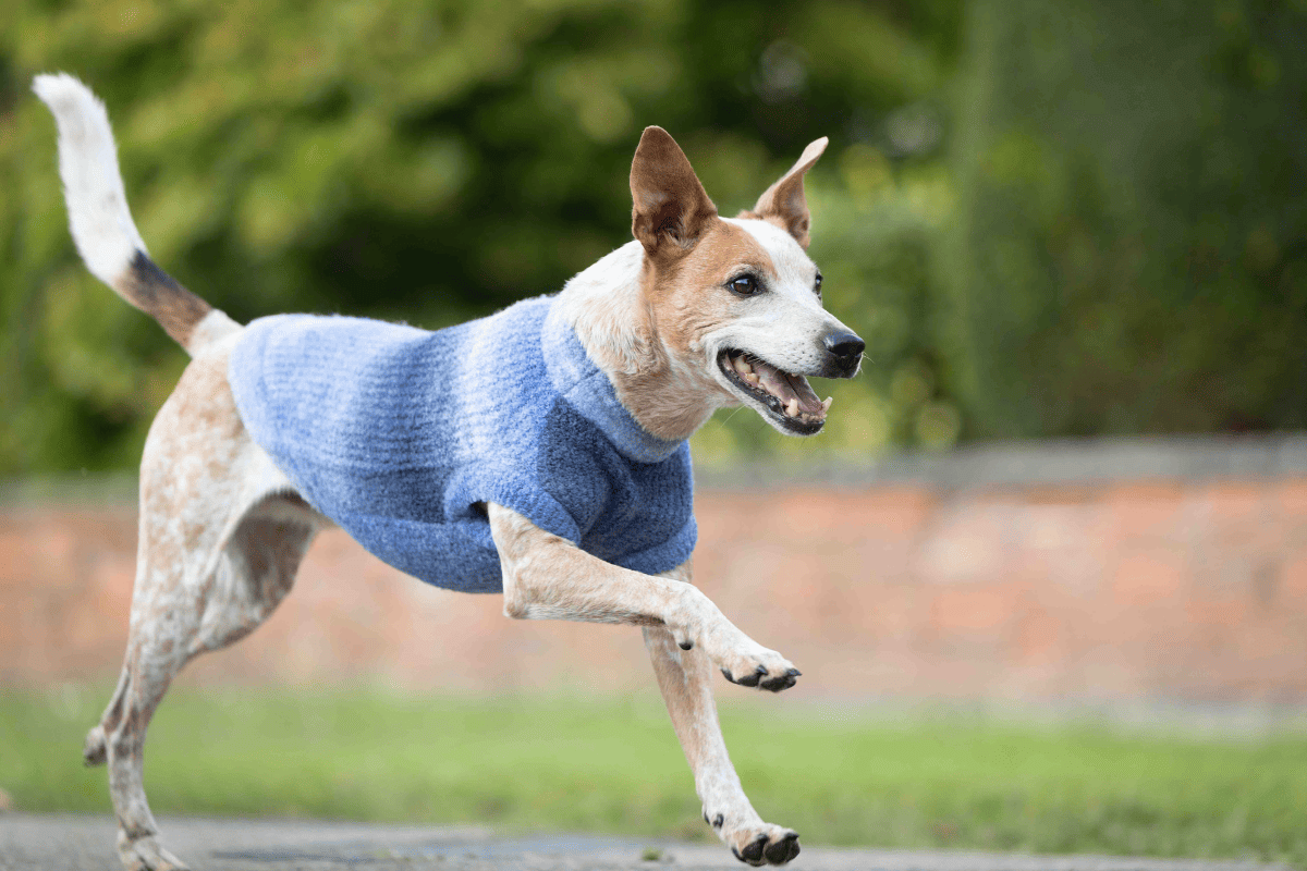 WOLTERS Strickpullover Sky