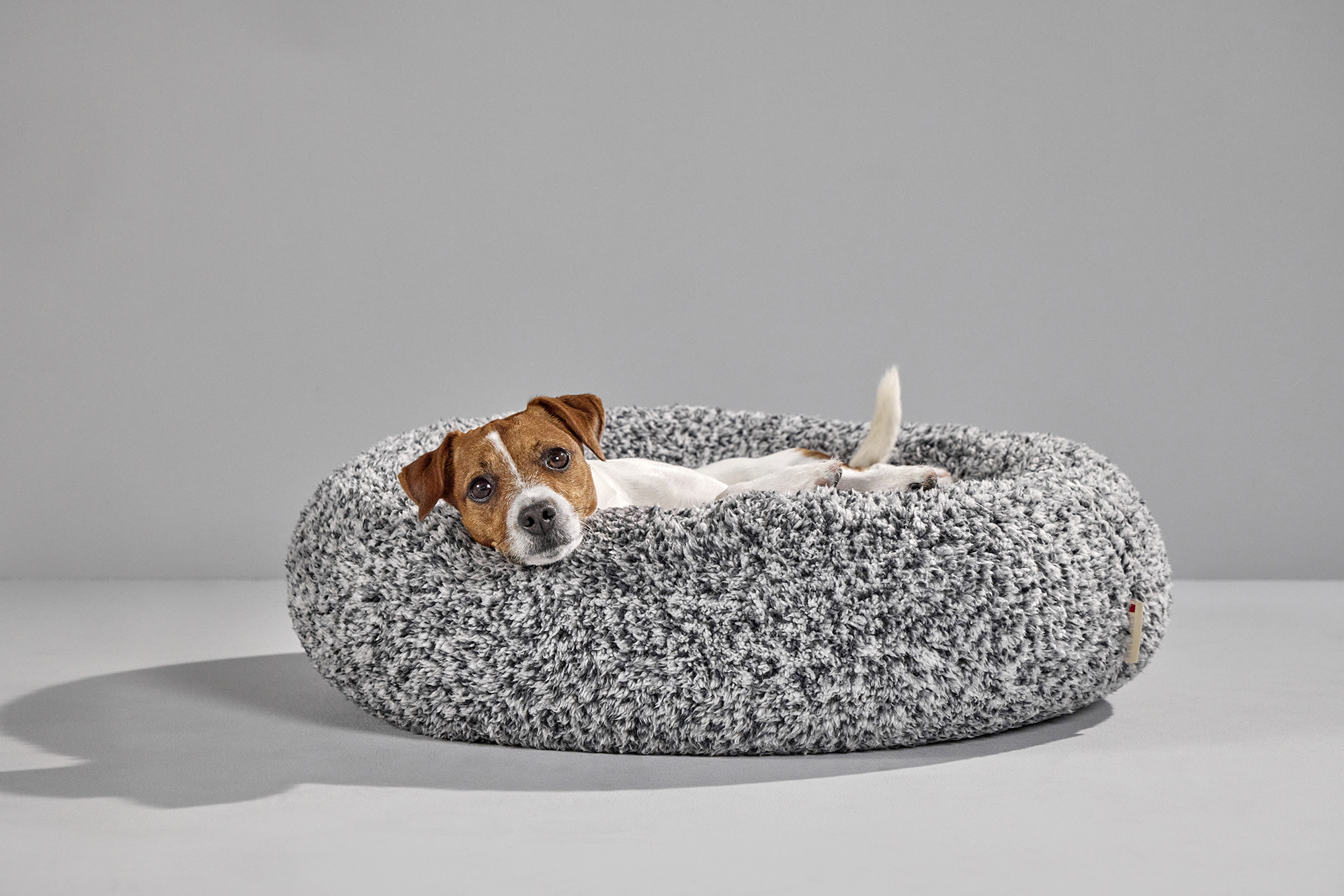 Sweet Dreams dog basket