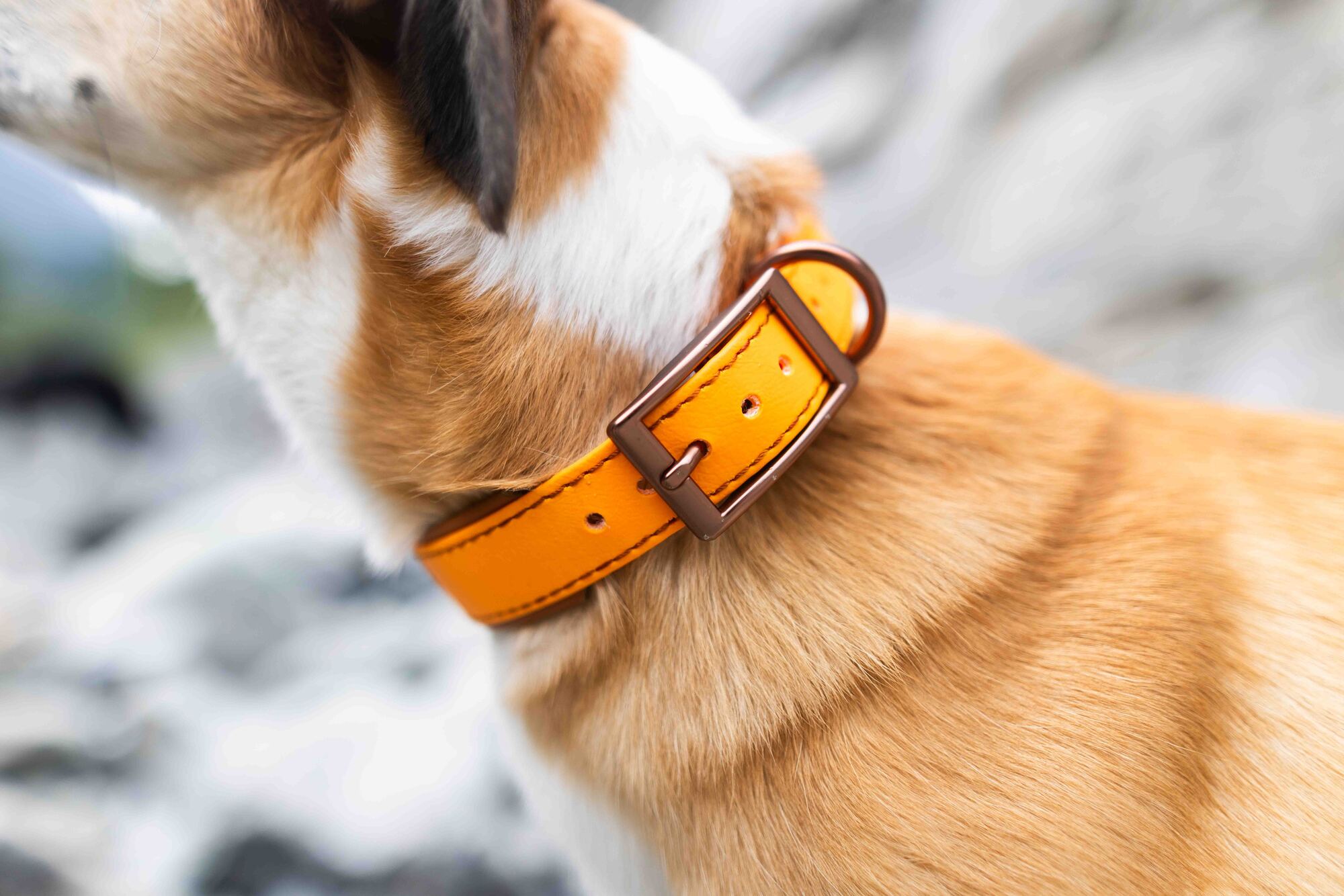 Biothane-Leder Halsband