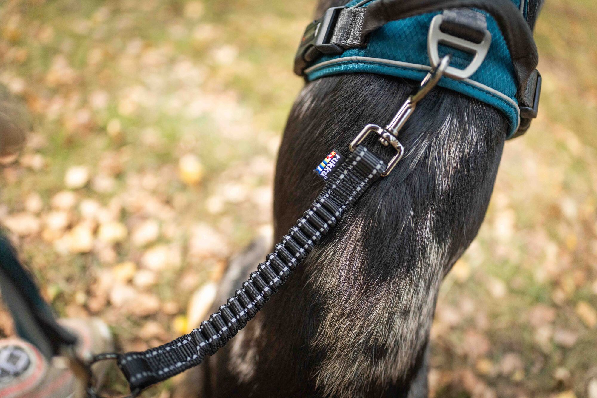 RUKKA Pets Bliss Antishock Lead Extension