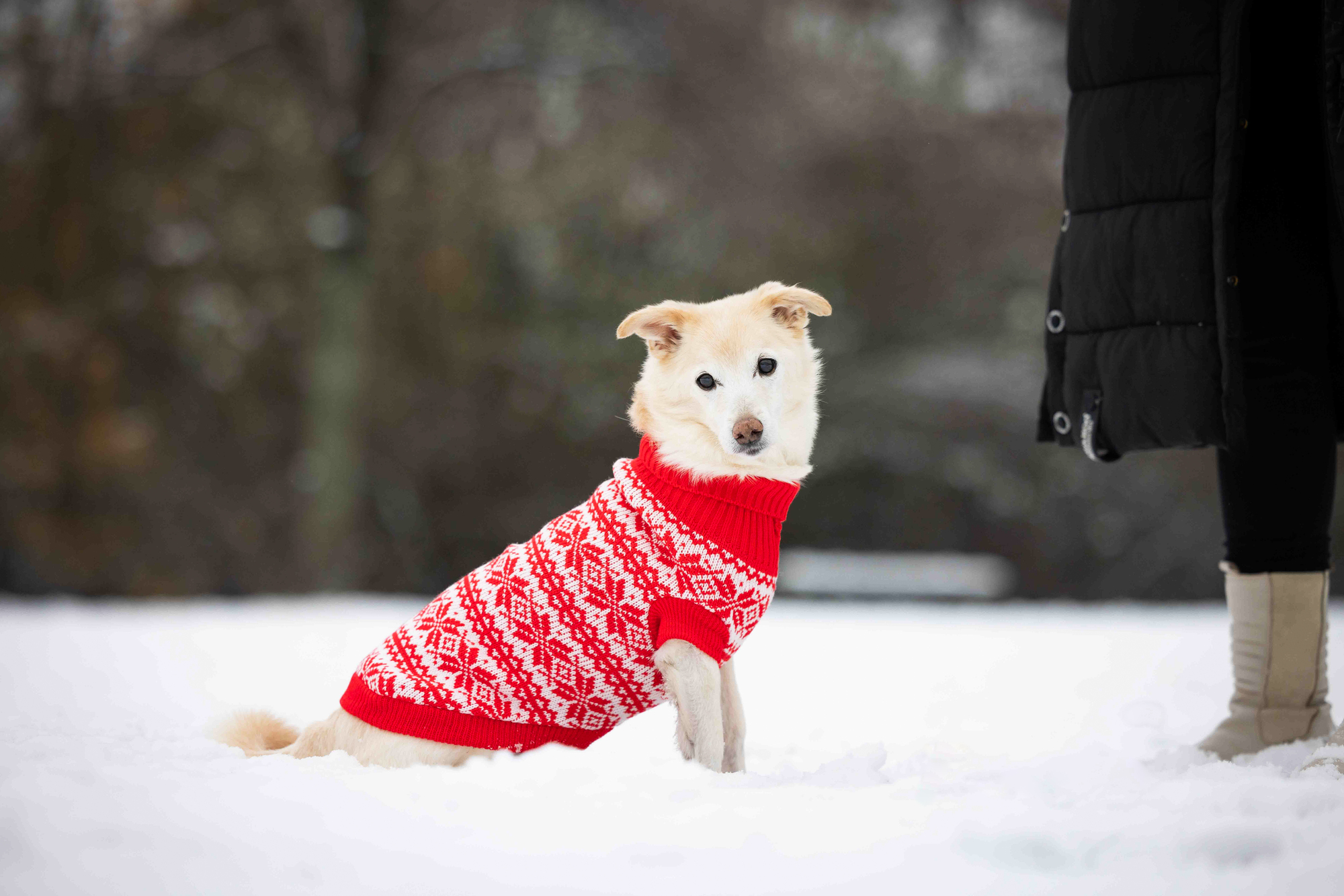 Thore Knitted Jumper