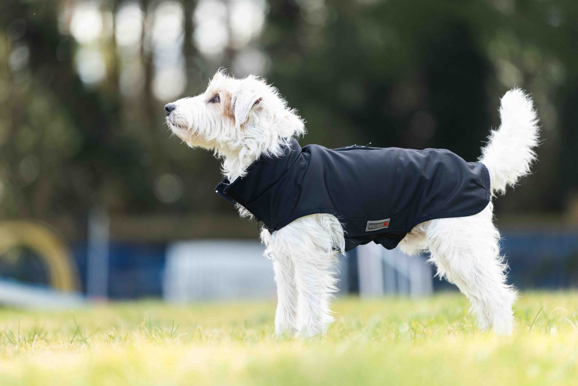 Softshelljacke Casual WOLTERS cat & dog GmbH