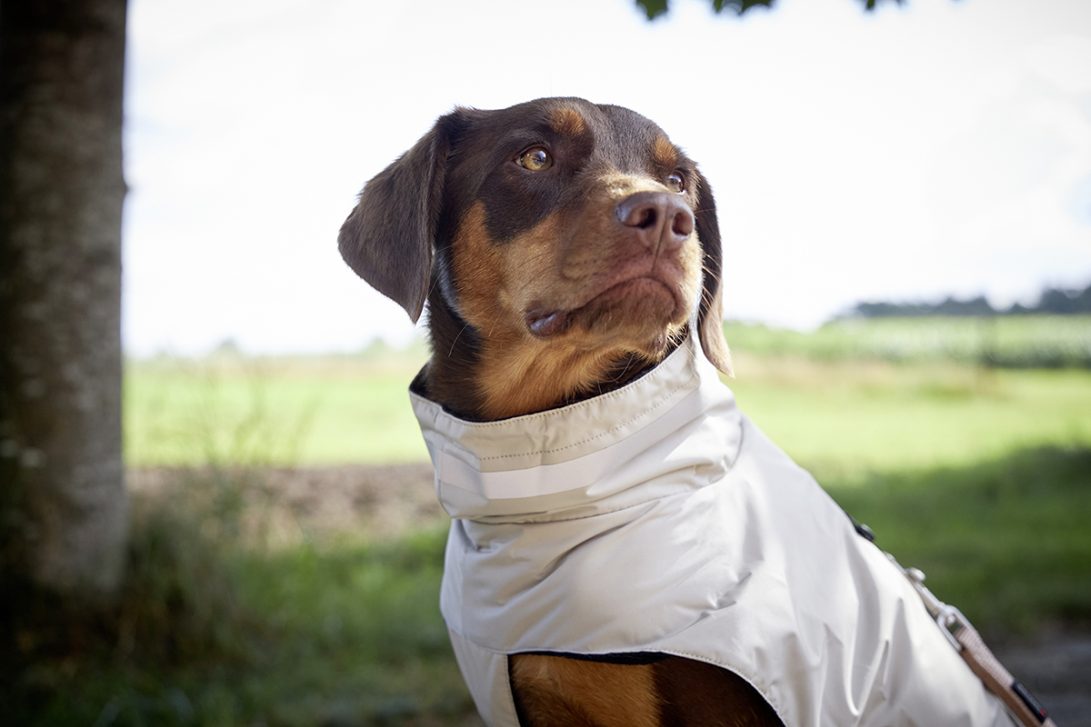 Outdoor Jacket Modern Classic