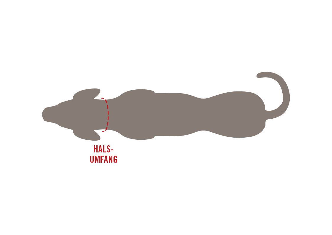 How to Measure Neck Circumference on a Dog