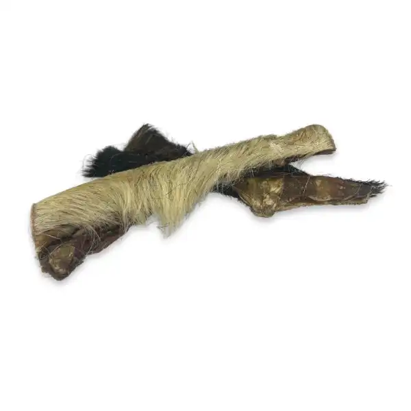 Wolf's Nature Wildes Lamm