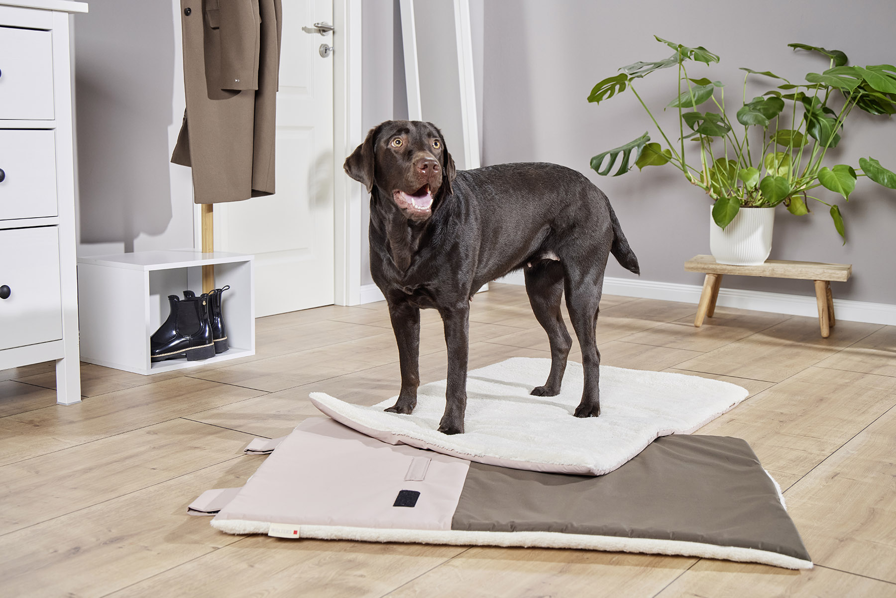  WOLTERS cat & dog GmbH