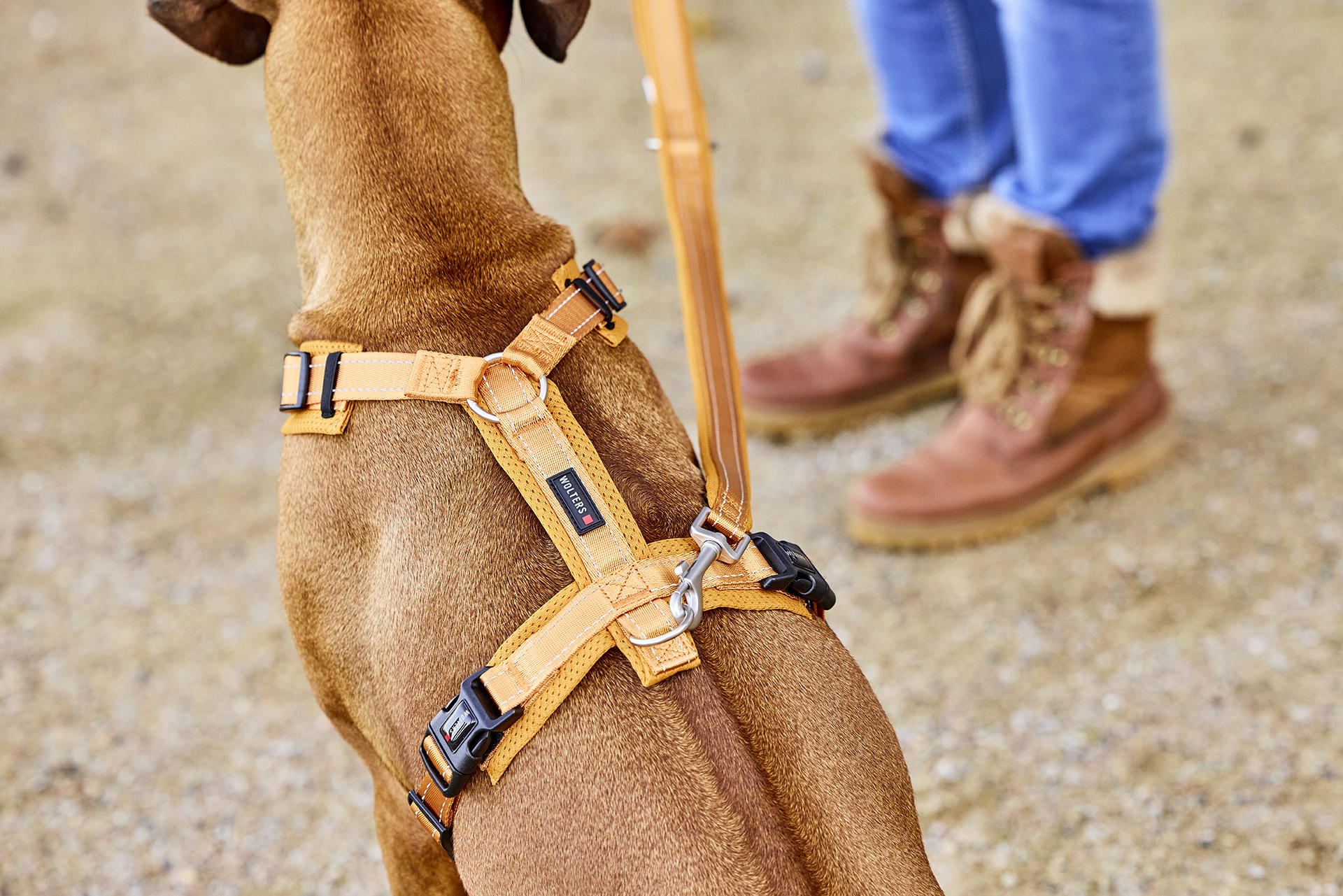 Light Mesh Harness
