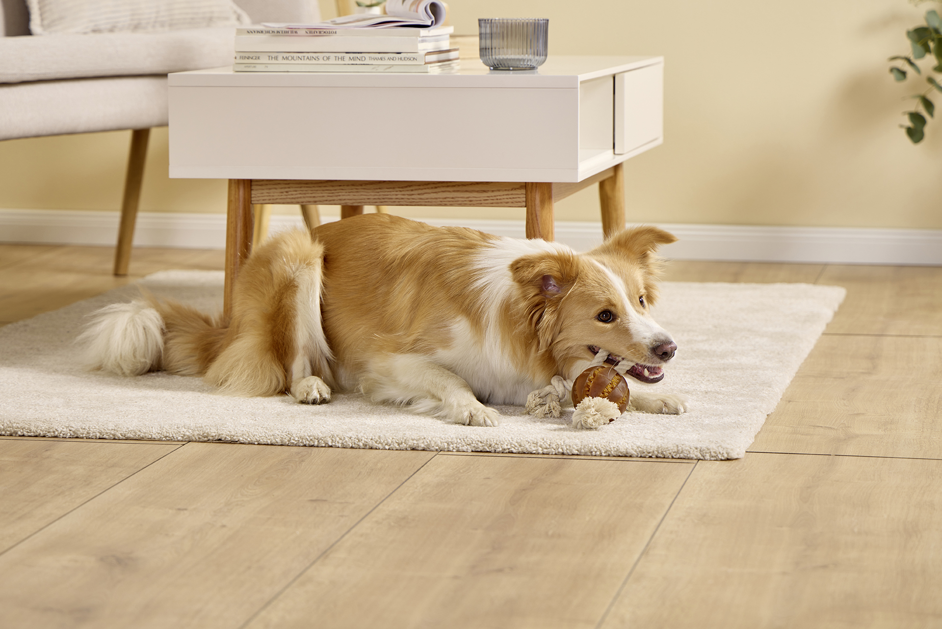 Pure Nature Dental Rope Toy Ball