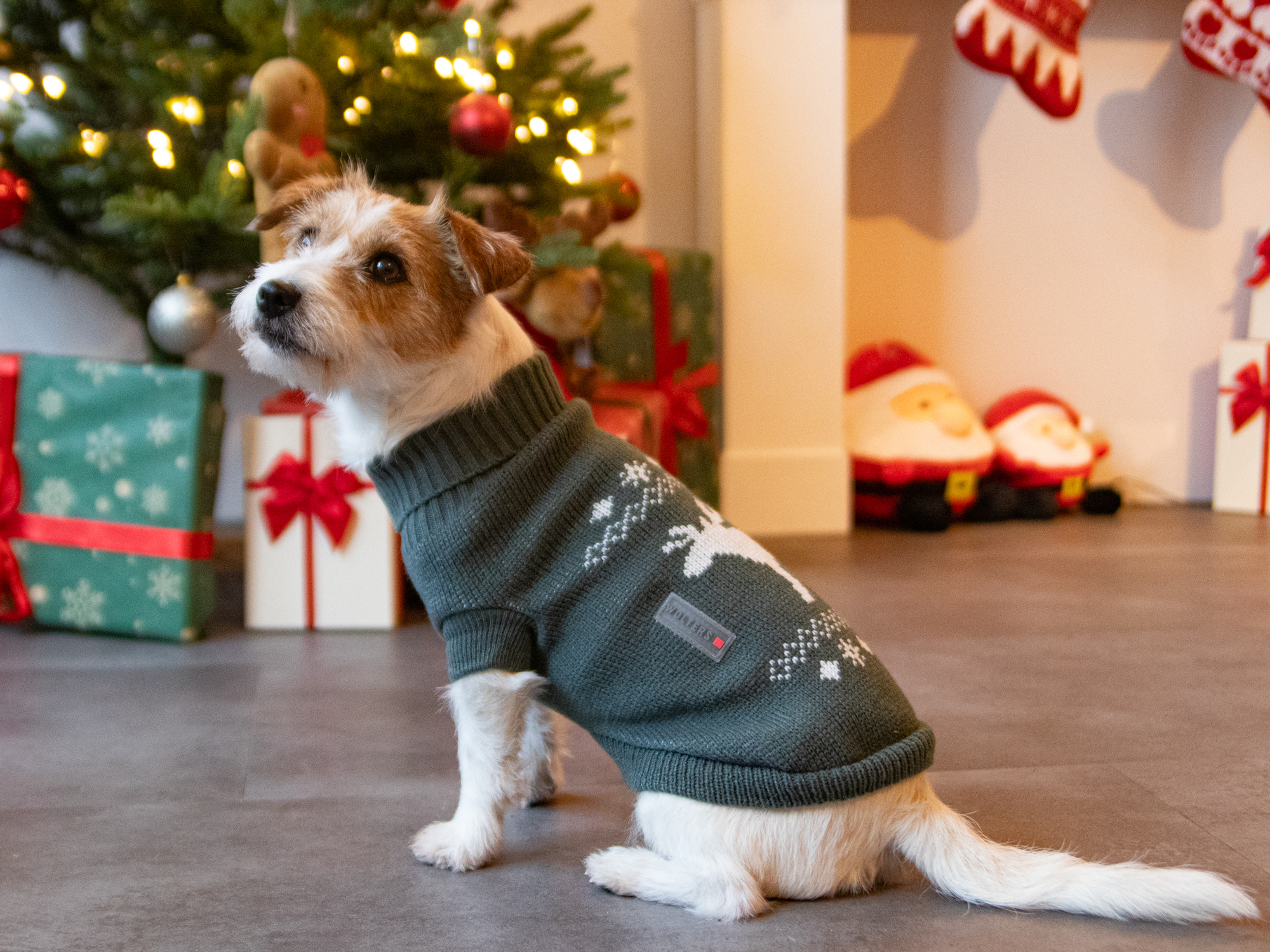 Tierbedarf WOLTERS cat & dog GmbH