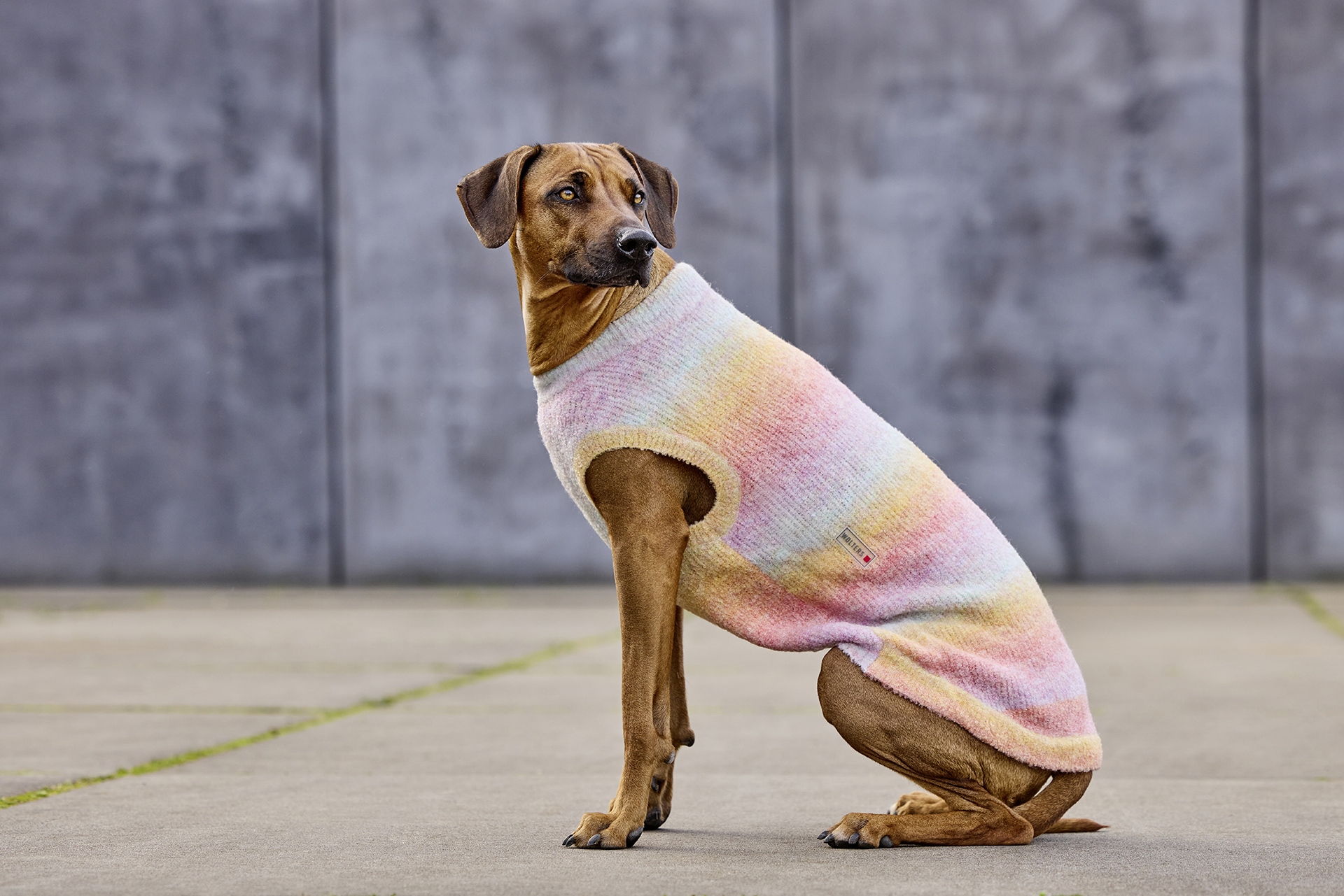 Knitted Jumper Sunset – Loose Fit