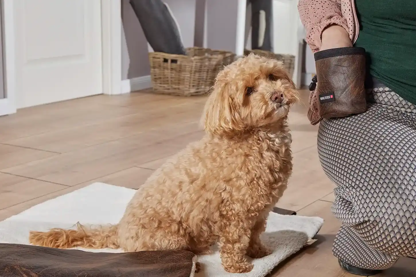 Leckerli Beutel Hund