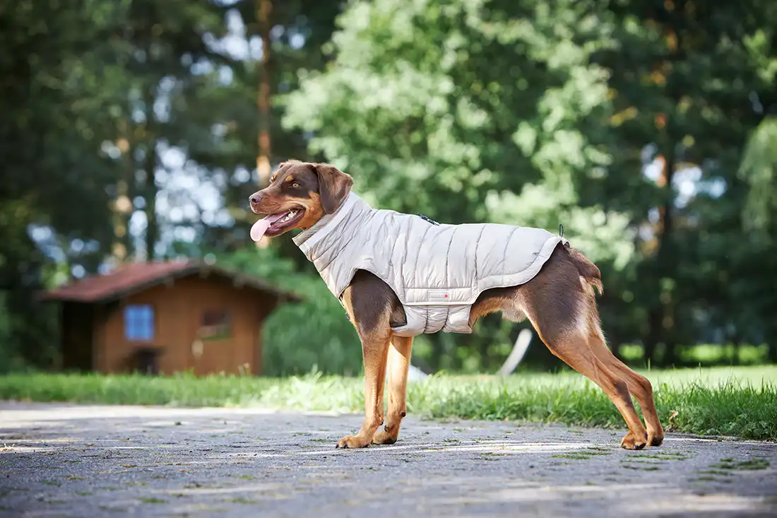 Steppjacke Cosy