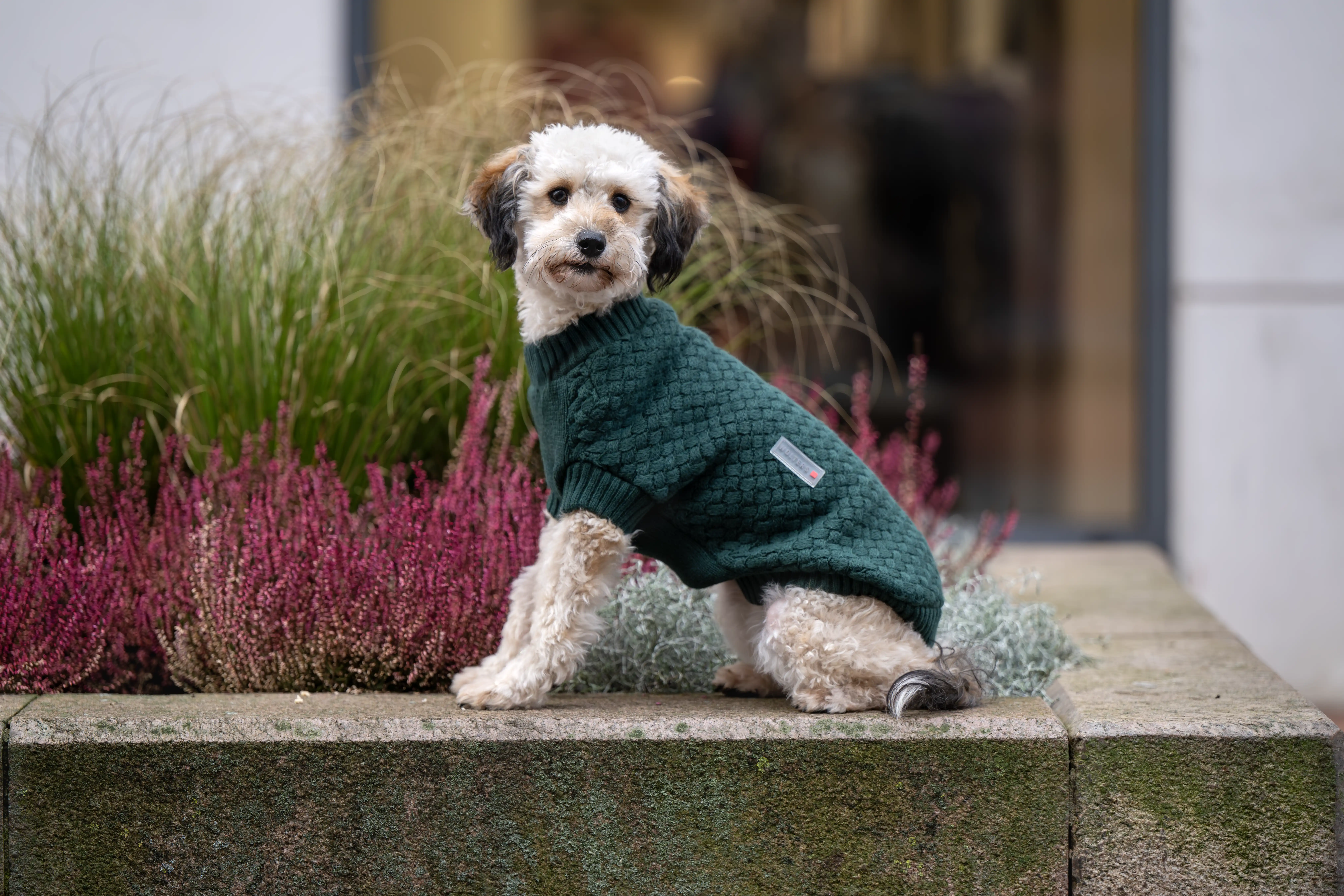 Strickpullover Square