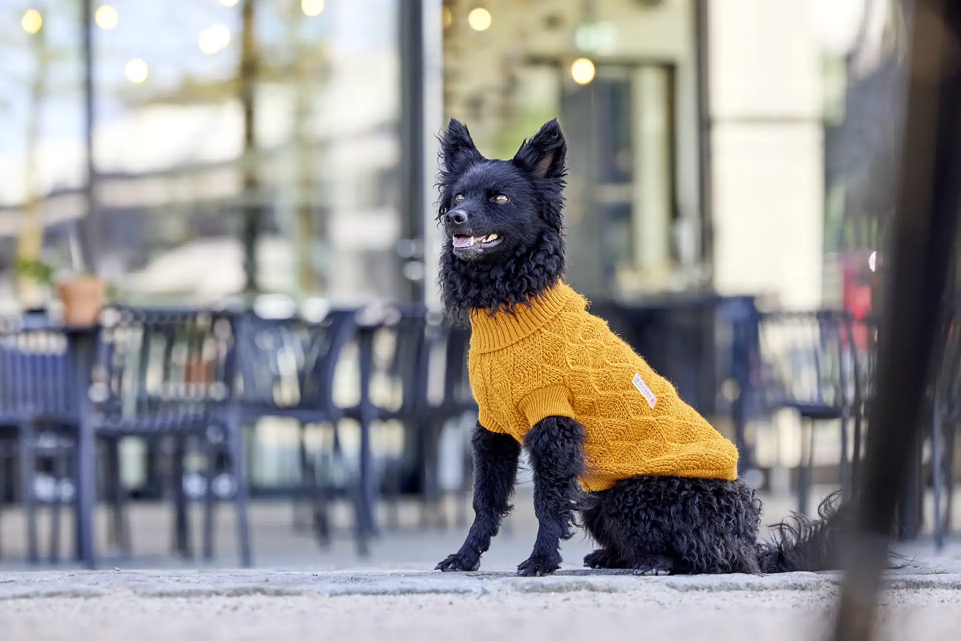 Strickpullover Diamond