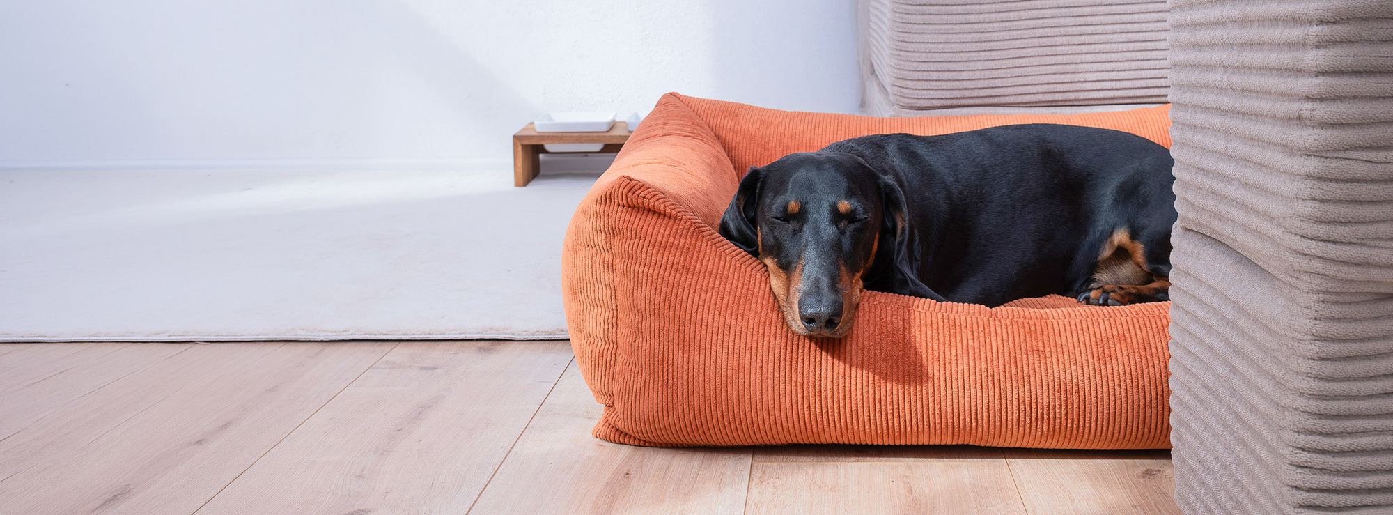 Tierbedarf WOLTERS cat & dog GmbH