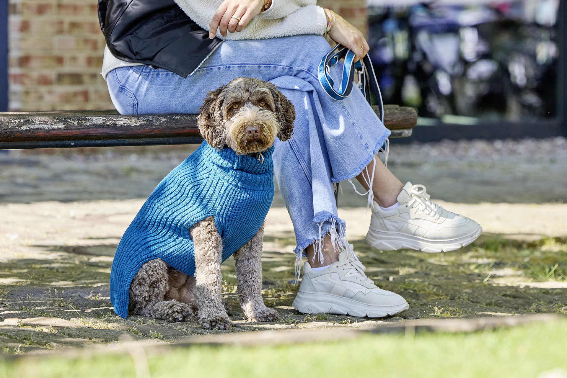  WOLTERS cat & dog GmbH