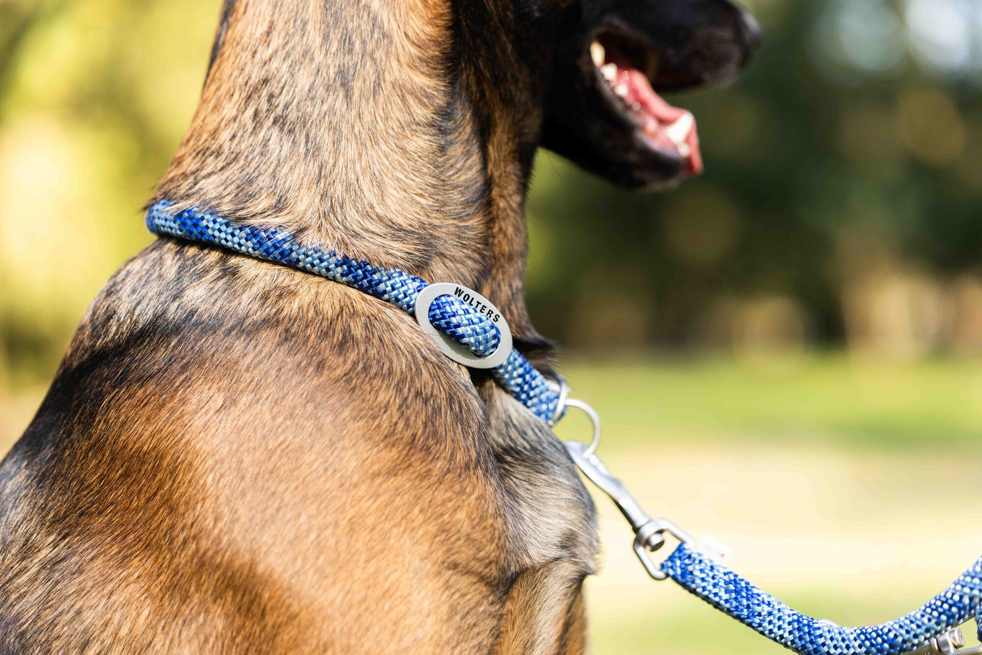Everest Rope Programme Slip Collar