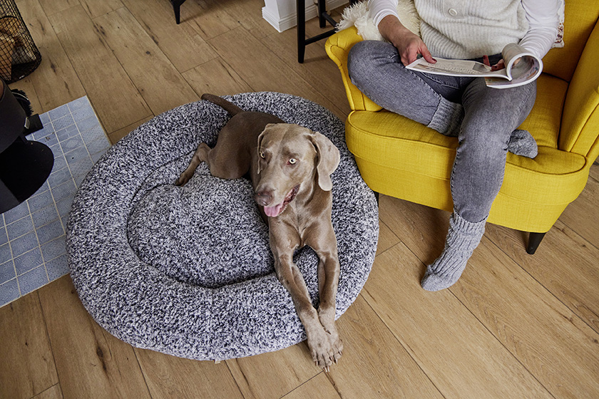 Sweet Dreams Ortho dog basket