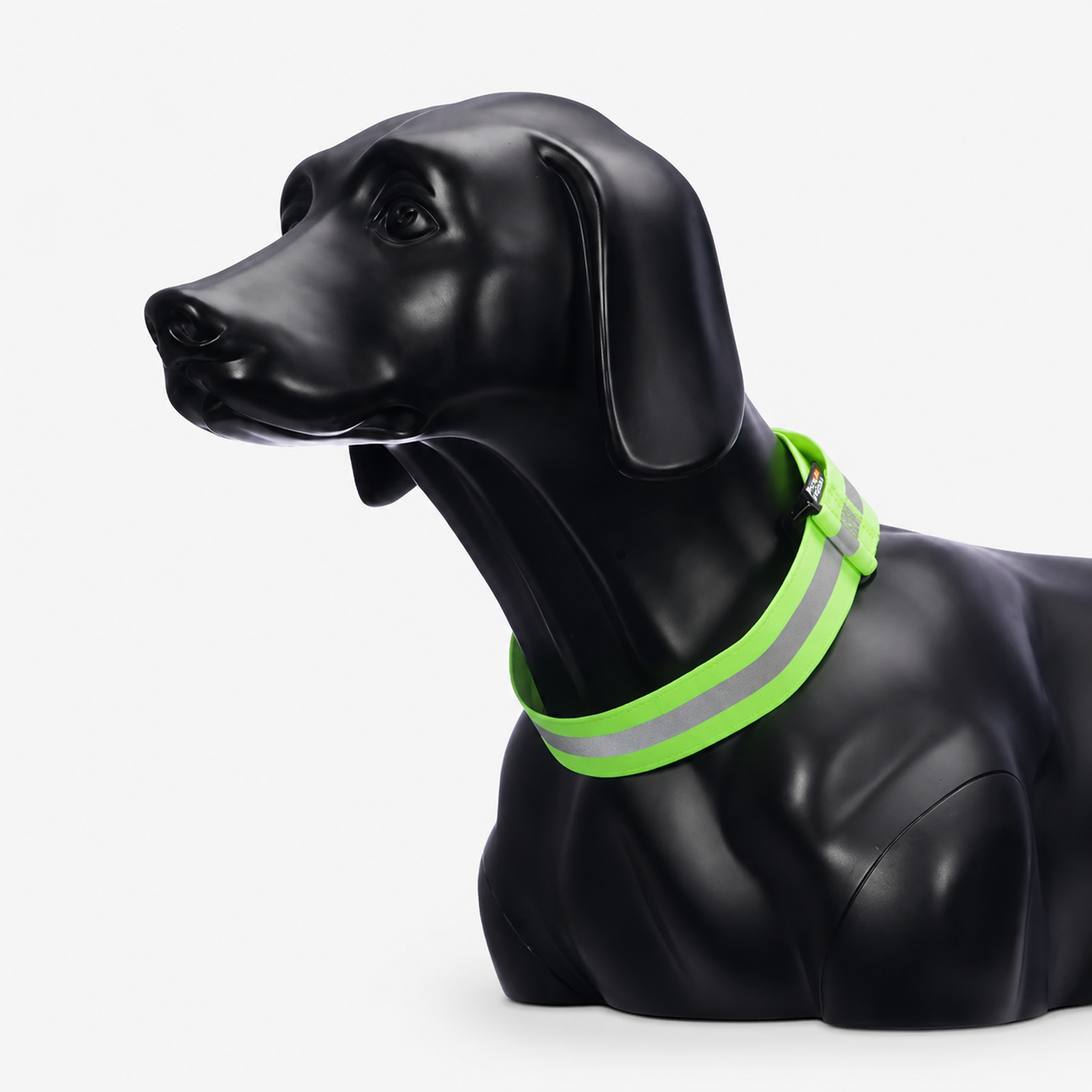 RUKKA Pets Note Neck Band