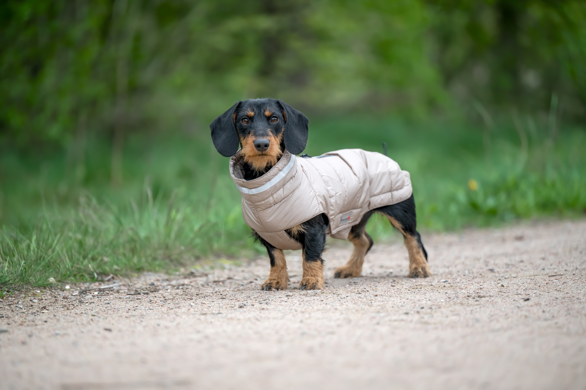 Cosy Quilted Jacket – longer back