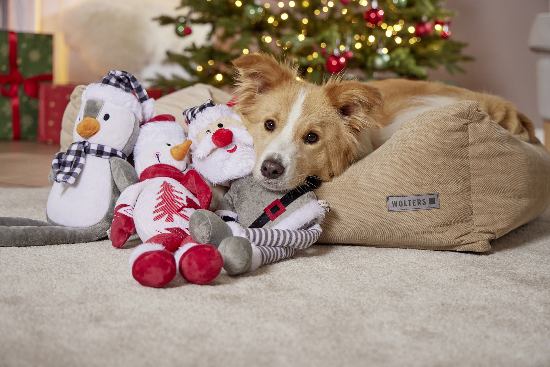Christmas Range