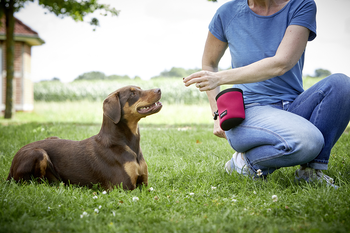  WOLTERS cat & dog GmbH