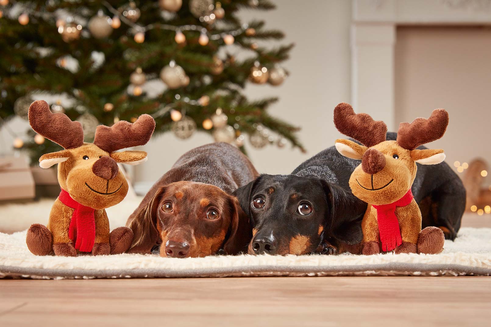 Plush Moose Rudolph