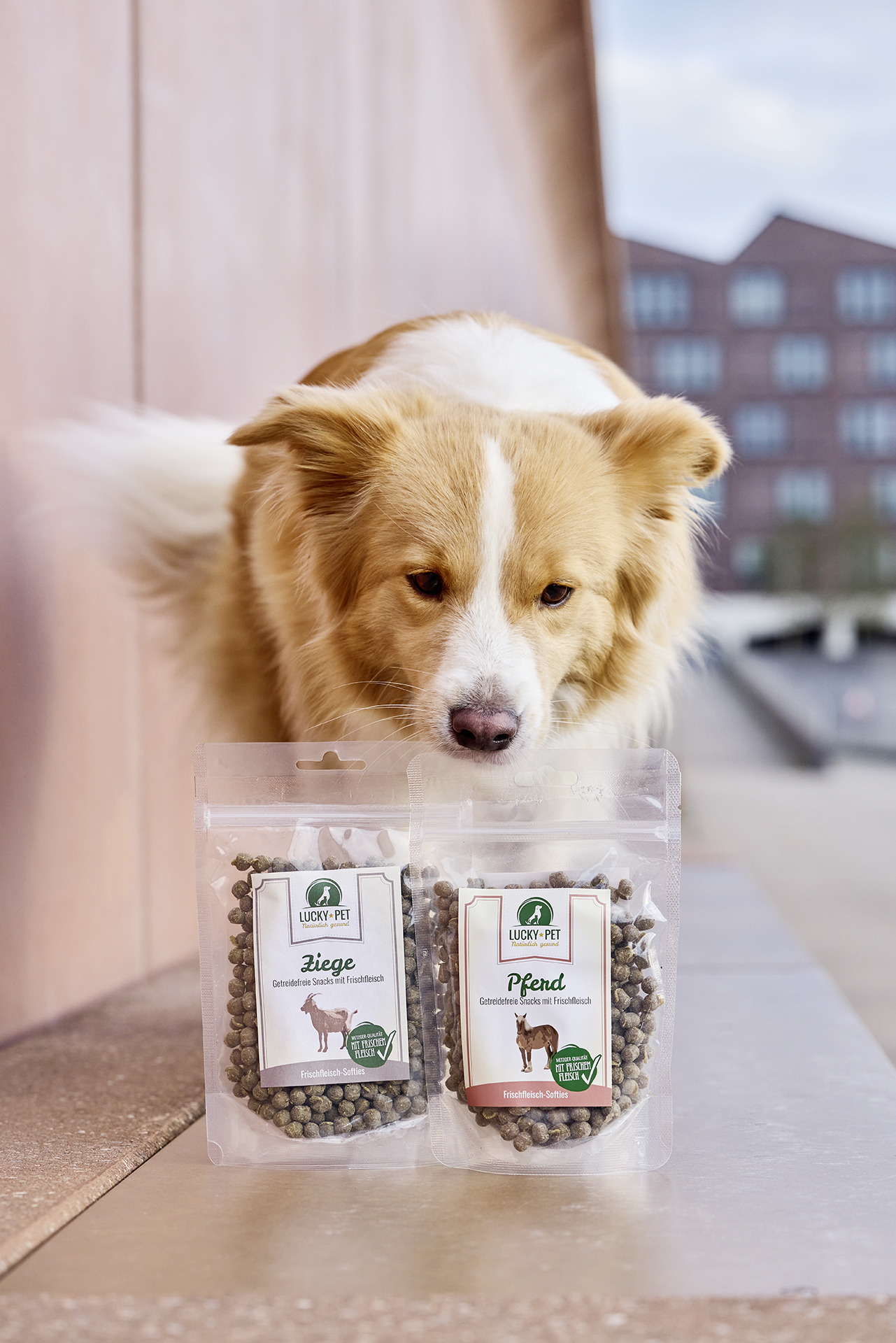 Lucky-Pet Fleischsofties mit Frischfleisch – Pferd WOLTERS cat & dog GmbH