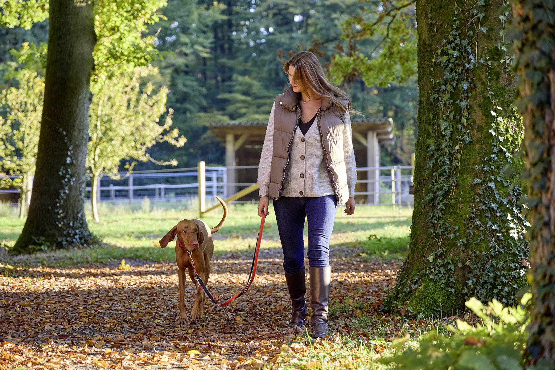 Active Pro Comfort dog lead
