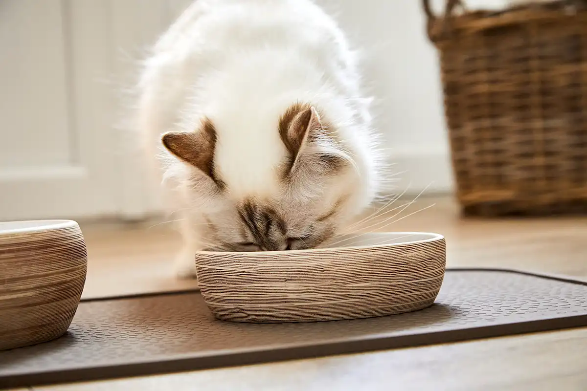 Wolters Diner Stone for Cats