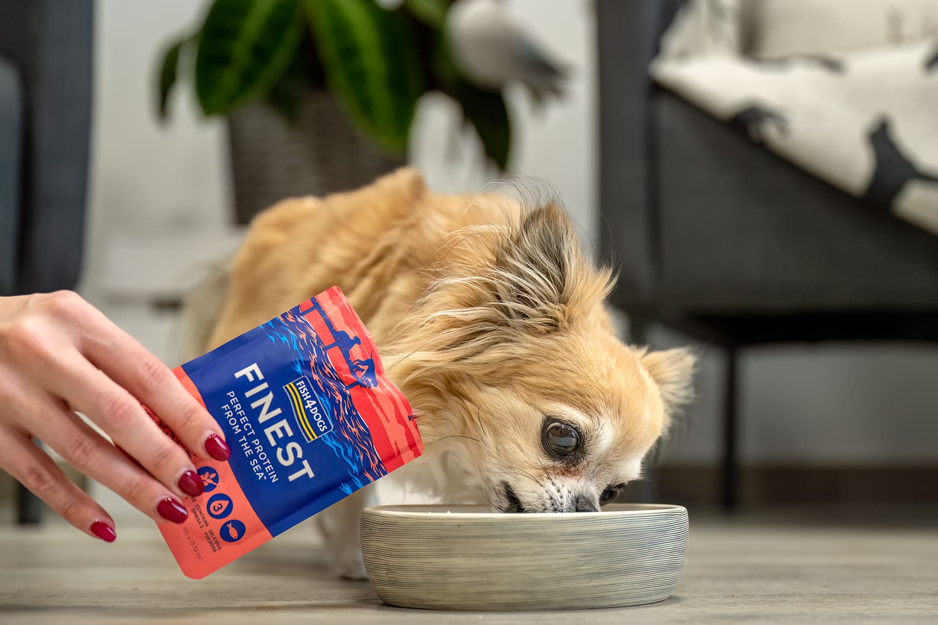 Fish4Dogs Finest – Makrelenflocken mit Tintenfisch WOLTERS cat & dog GmbH