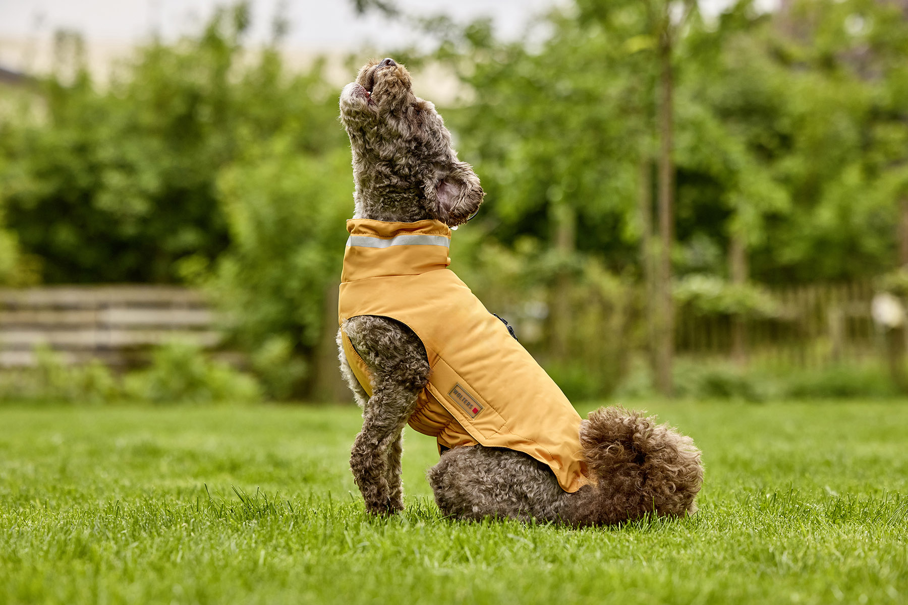 Outdoor Jacket Modern Classic