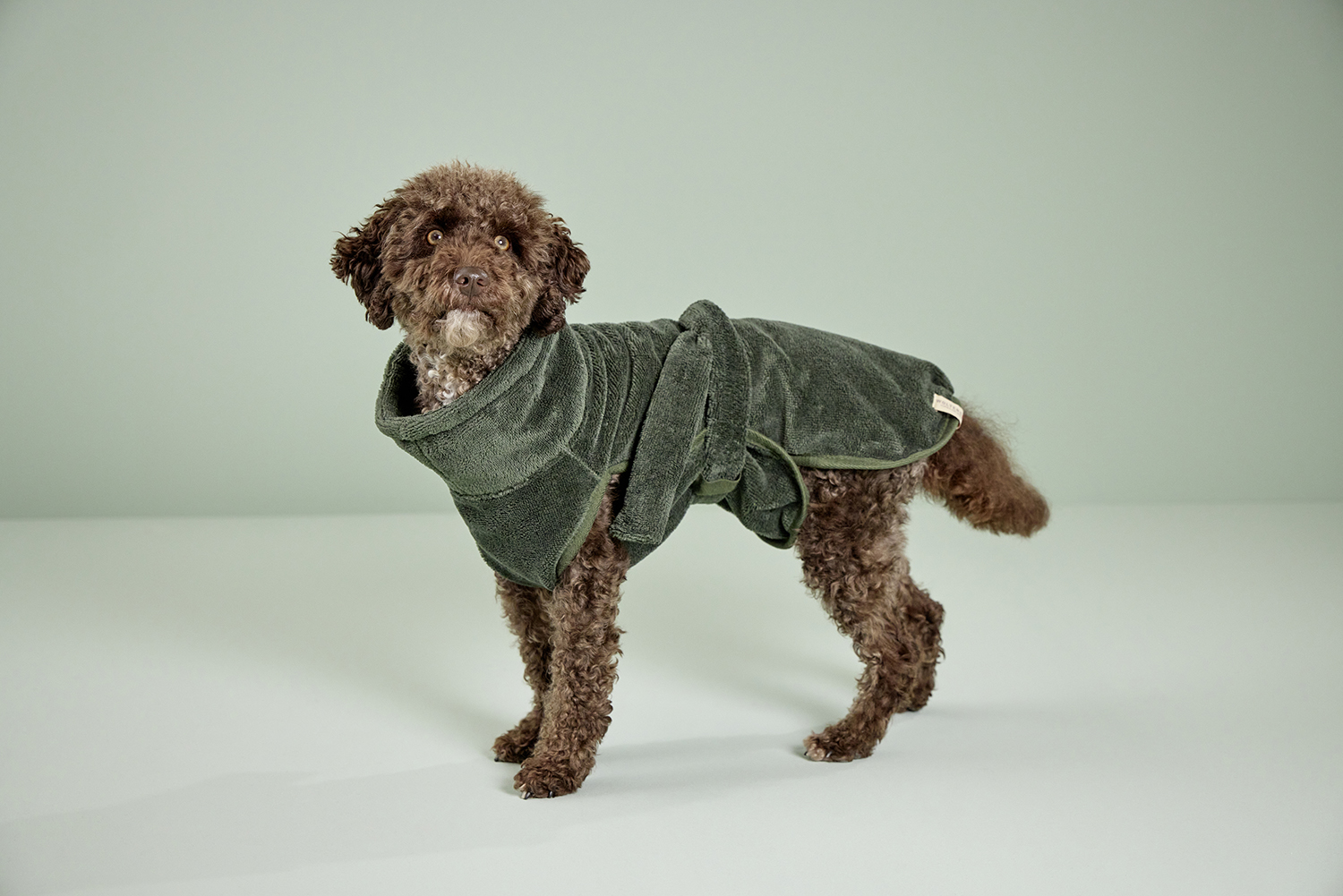 Easy Clean dog drying coat