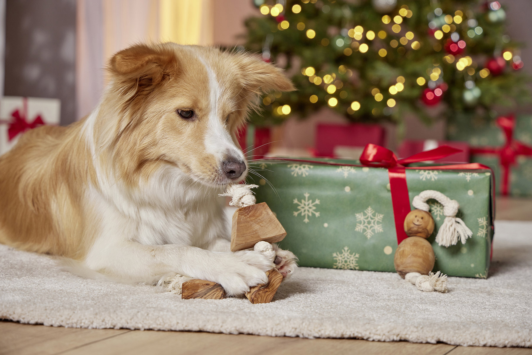 Olivi Weihnachts-Spielzeug